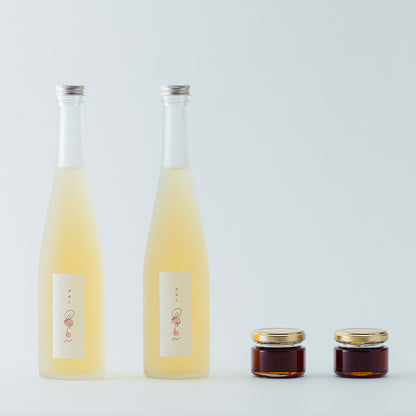 【定期便限定　ぽぱんの蜜付き2本セット】乳酸菌よりも優れた乳酸菌生産物質のドリンク「ぽぱん」